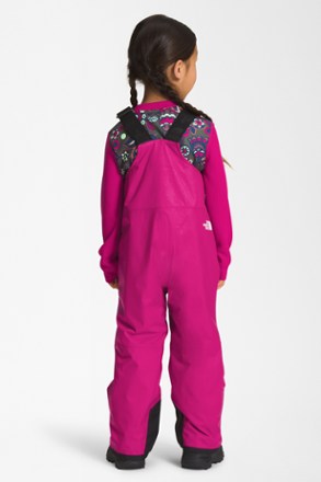 The North Face Freedom Insulated Bib Snow Pants - Toddlers' 1