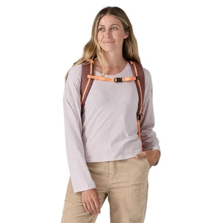 Patagonia Black Hole Pack 25 L 2