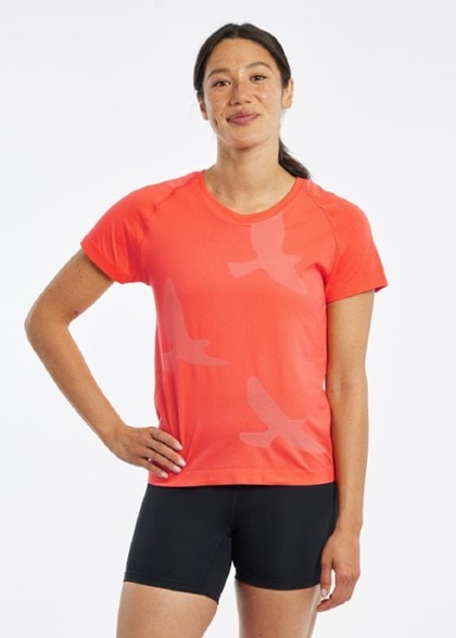 On Body Image of color Alpenglow