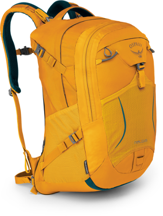 louis vuitton backpack male