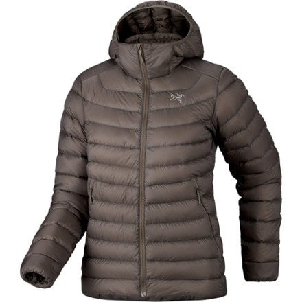 Arc'teryx Cerium Down Hoody - Women's 4
