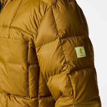 Cotopaxi Repleto Down Parka - Men's 9