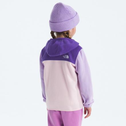The North Face Glacier Full-Zip Hoodie - Toddlers' 2