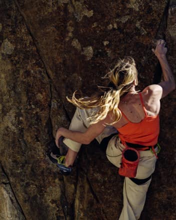 Location Image of color Black/Mantis