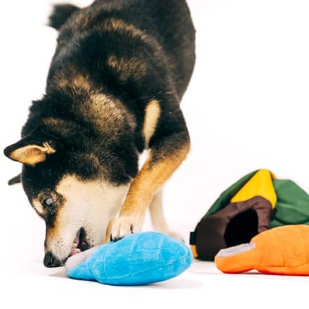 Play Pet Brands Camp Corbin Trailblazing Tent Dog Toy 4