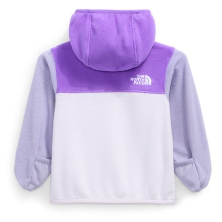 The North Face Glacier Full-Zip Hoodie - Infants' 3