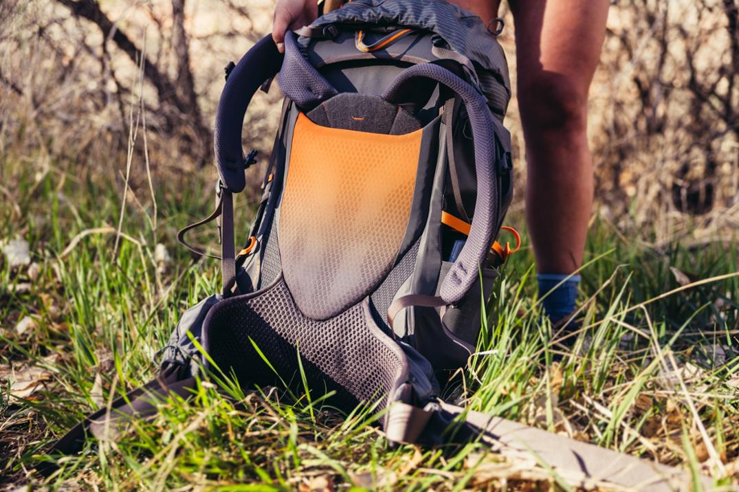 Location Image for Maven 48 Pack - Women's