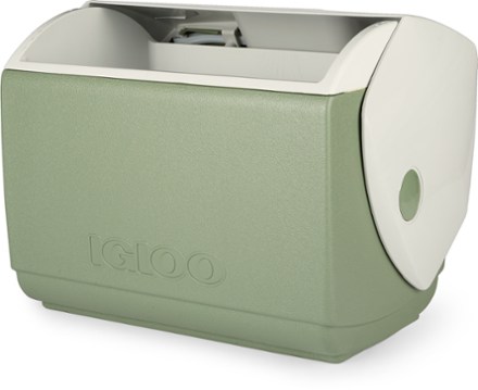 Rei online igloo cooler