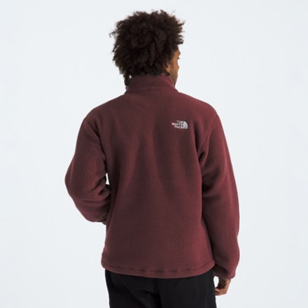 The North Face Fleeski Quarter-Zip Pullover - Men's 1