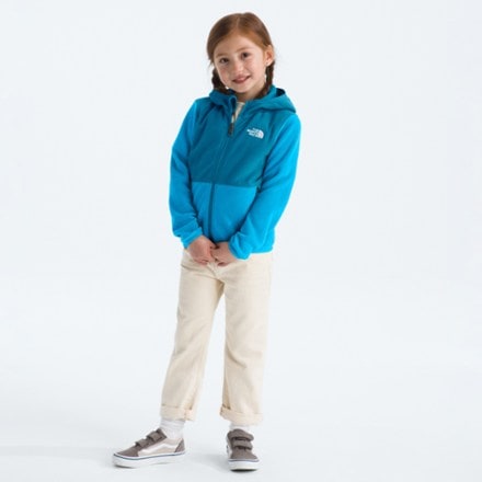 The North Face Glacier Full-Zip Hoodie - Toddlers' 2