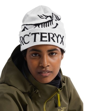 Arc'teryx Bird Word Toque 1