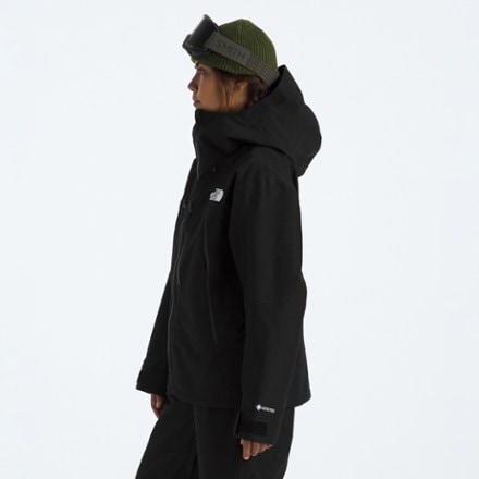 The North Face GTX Hex Jacket - Women's 4