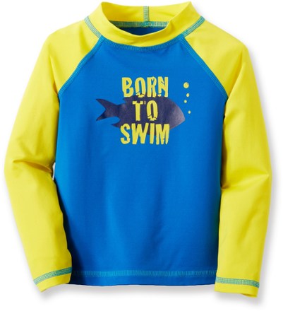 Sky Dive/Sunflower Field