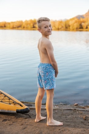 Lake Label Board Short Swimsuit Bottoms - Kids' 5