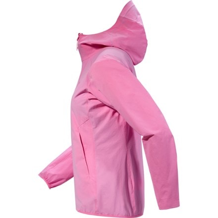 Arc'teryx Gamma Lightweight Hoody - Women's 4