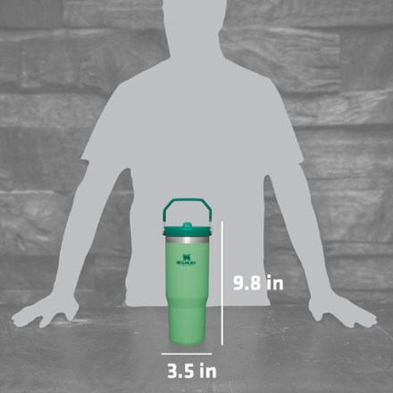 Stanley IceFlow Straw Tumbler - 30 fl. oz. 4