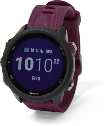 Review: Garmin Forerunner 245 vs. Vivoactive 4  Garmin running watch,  Garmin, Garmin forerunner