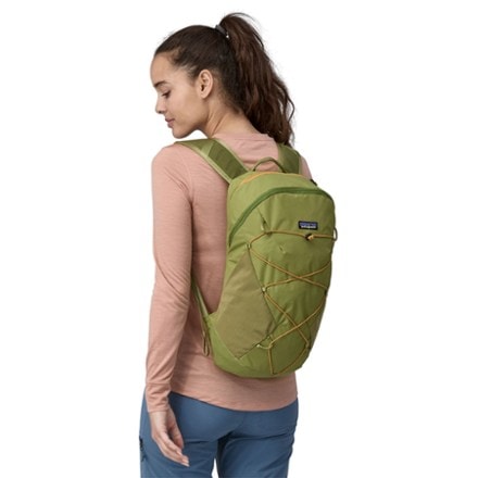 Patagonia Terravia Pack 14 L 1