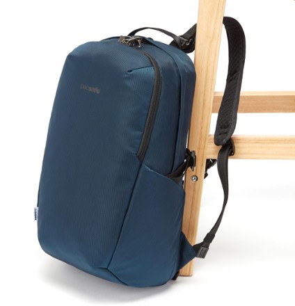 rei pacsafe backpack