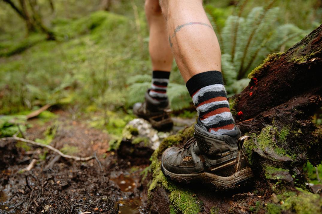 Location Image for Targhee III Waterproof Mid Hiking Boots - Men's