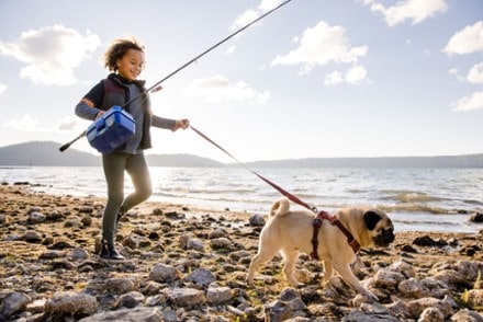 Location Image for Front Range Dog Harness