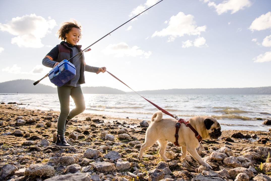 Location Image for Front Range Dog Harness
