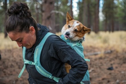 Ruffwear Hitch Hiker Dog Pack Carrier 6
