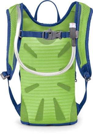Back View with reservoir (Wild Blue)