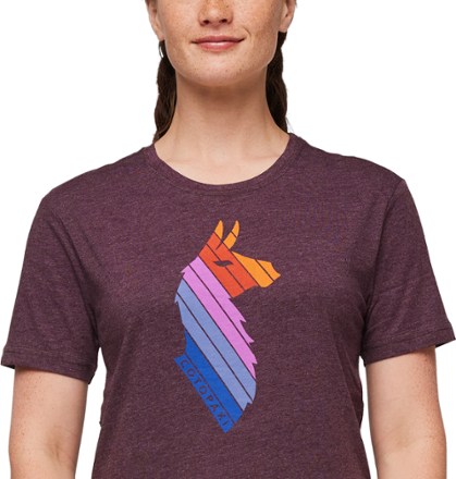 Cotopaxi Llama Stripe T-Shirt - Women's 6
