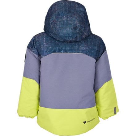 Obermeyer Altair Insulated Jacket - Toddlers' 3