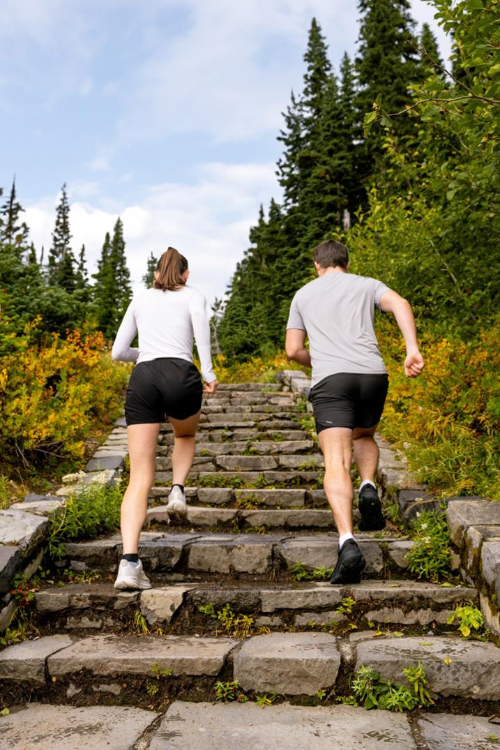 Location Image for Maxus No-Show Socks