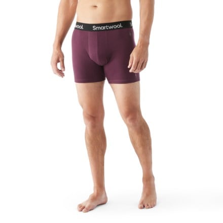Smartwool Merino Boxer Briefs - Men's 1