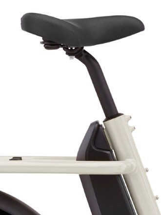 Benno RemiDemi 10D Electric Bike 3
