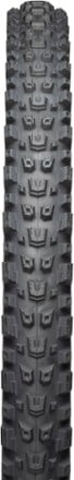 Teravail Warwick Ultra Durable Tire 2