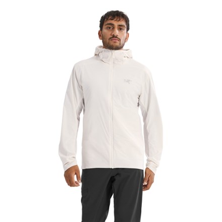 Arc'teryx Atom SL Insulated Hoody - Men's | REI Co-op