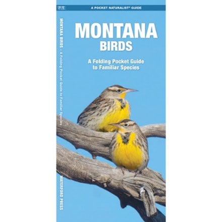 Waterford Press Montana Birds 0