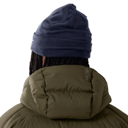 Arc'teryx Embroidered Bird Toque 2