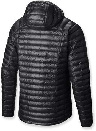 Back View (Shark/Titanium)