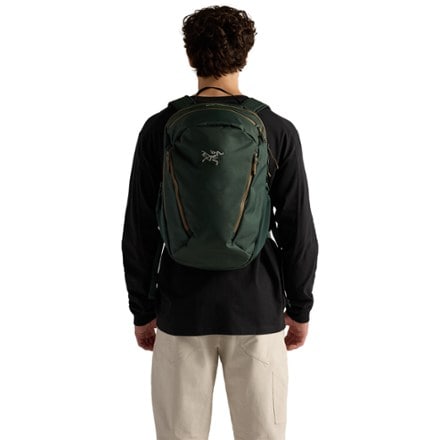 Arc'teryx Mantis 26 Pack 1
