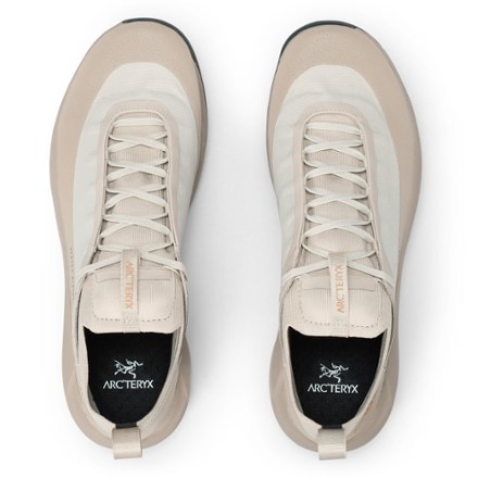 Arc'teryx Vertex Alpine GTX Approach Shoes - Men's 1