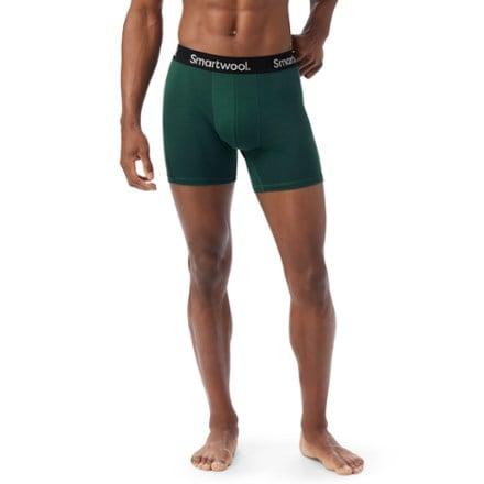 Smartwool Everyday Merino Boxer Briefs - Men's 1