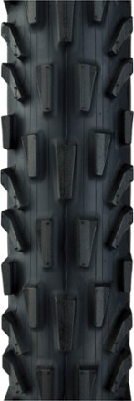 Panaracer Dart Tire 2