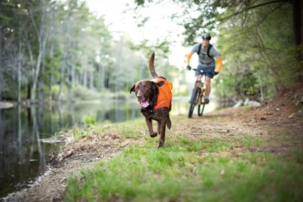 In-Use (Blaze Orange)