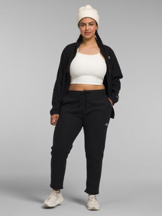 The North Face Alpine Polartec 100 Pants - Women's 4