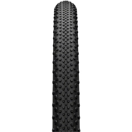 Continental Terra Speed ProTection Tire | REI Co-op
