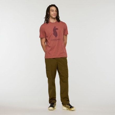 Cotopaxi Llama T-Shirt - Men's 3