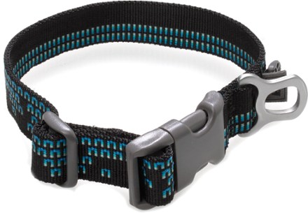 REI Coop Dog Collar at REI