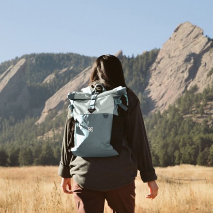 Sherpani cabo travel tote deals