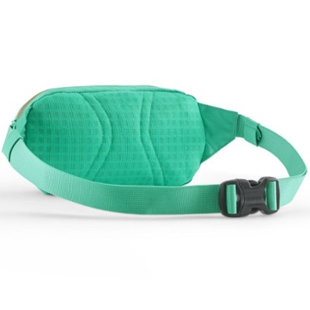 Patagonia Terravia Mini Hip Pack 1