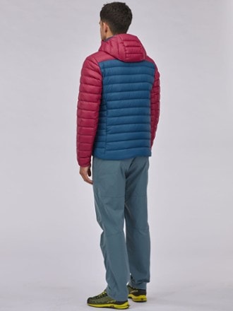 Patagonia Down Sweater Hoodie - Men's 9
